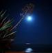 http://www.google.com.vn/images?q=tbn:ANd9GcThYFEu8rGoz5p4S0DEmcAvSe-UtonkUNKr2xZtlu9RLl3WmzPaR0wU1w